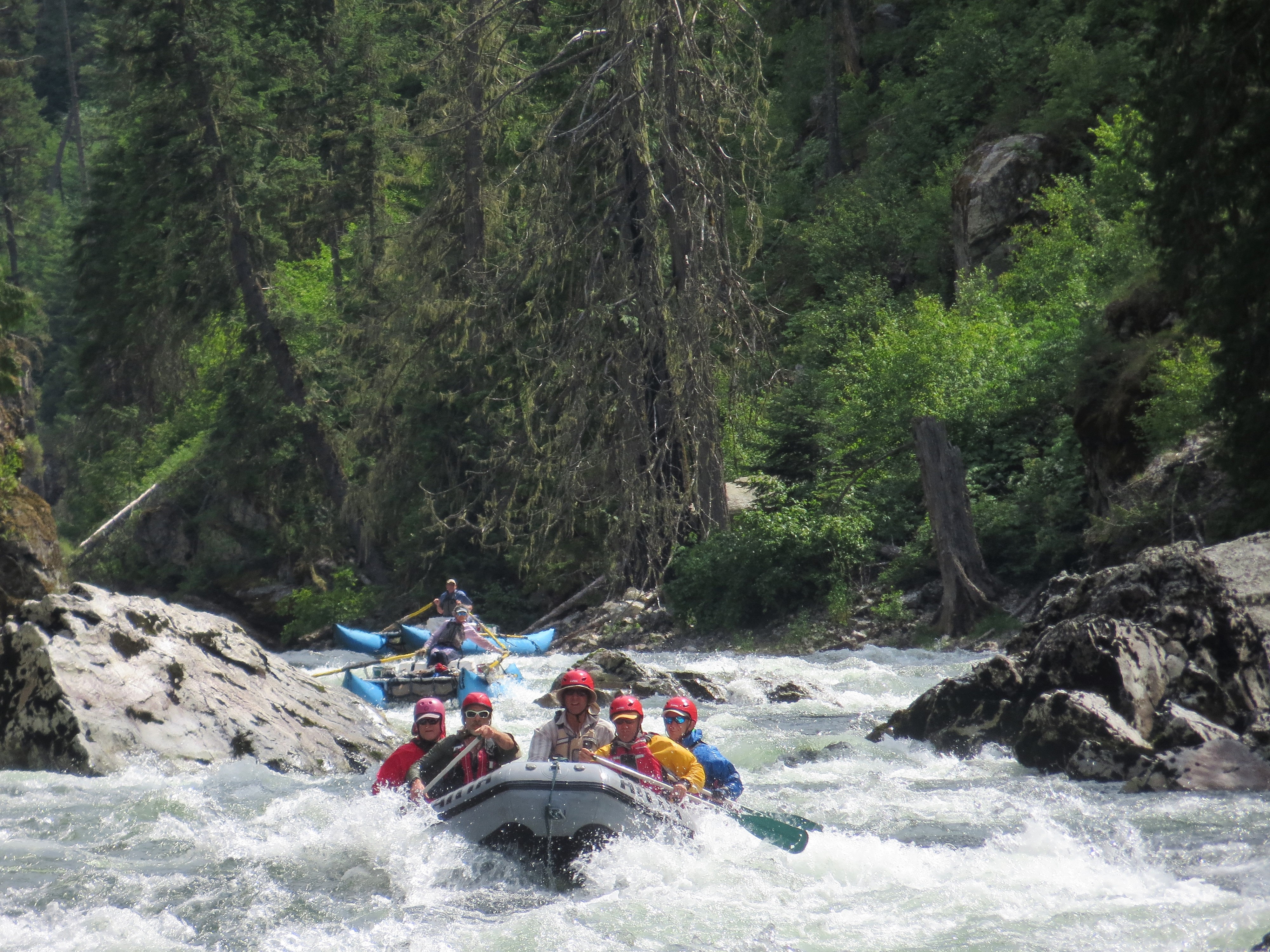 Selway River Rafting And Kayaking Blue River Expeditions
