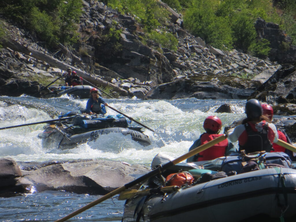 rowing whitewater rafts in rapid on the Selway River